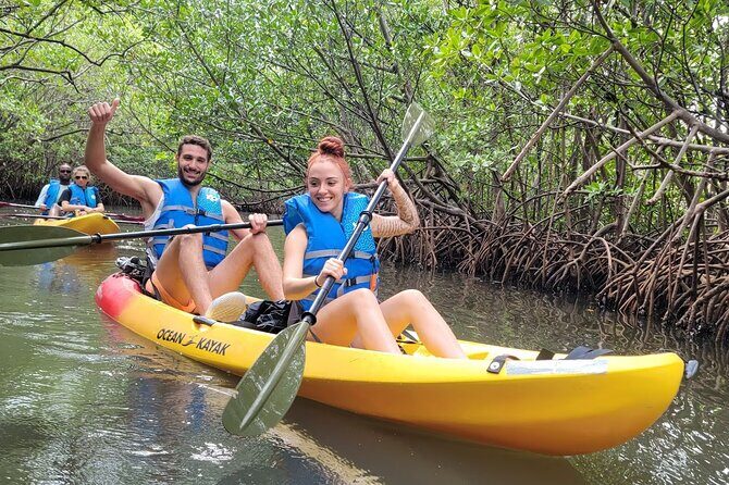 Mangrove Jungle Exploration on SUP/Kayak - A Warm Welcome to Miami’s Mangrove Waters
