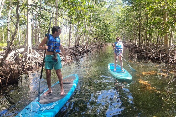 Mangrove Jungle Exploration on SUP/Kayak - The Pros and Cons