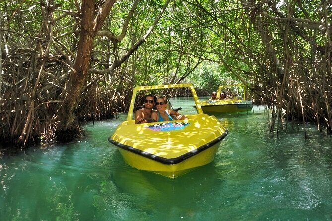 Mangrove Jungle Speedboat Experience - Analyzing the Price and Value