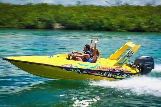 Mangrove Jungle Speedboat Experience - The Sum Up