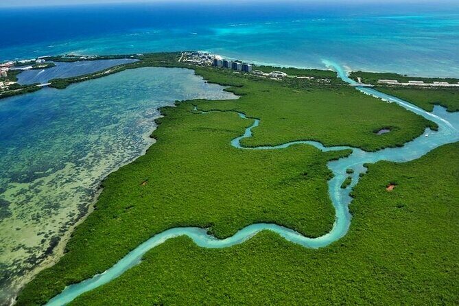 Mangrove Jungle Speedboat Experience - FAQ