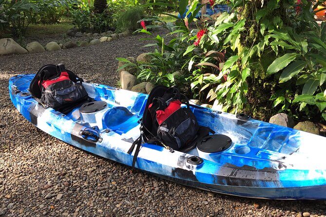 Mangrove Kayak - Key Points