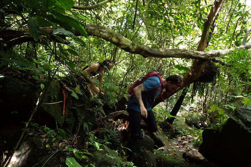 Mangrove Kayak and Waterfall Trek with Outdoor Lunch in Iriomote - What the price includes, and what it is worth