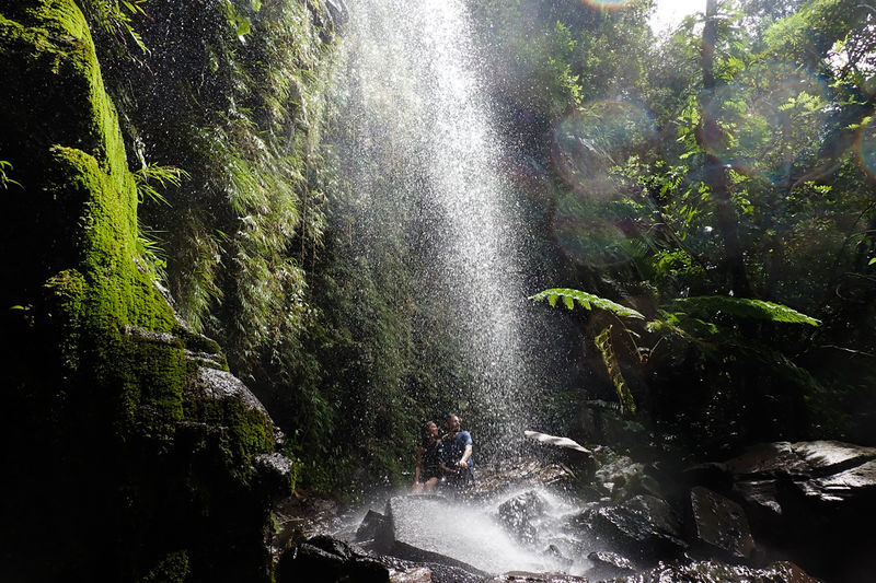 Mangrove Kayak and Waterfall Trek with Outdoor Lunch in Iriomote - Ferry timing, clothes, and other practical details