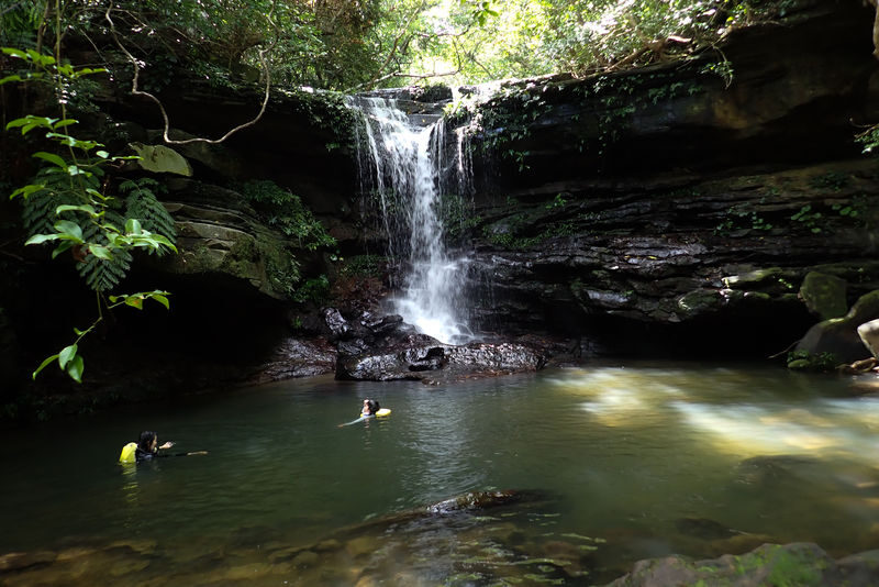 Mangrove Kayak and Waterfall Trek with Outdoor Lunch in Iriomote - Should you book the Iriomote kayak and waterfall tour?