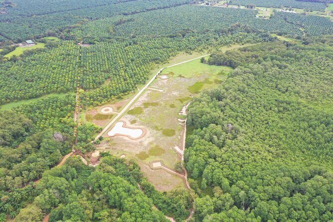 Mangrove Kayak - A Closer Look at the Mangrove Kayak Tour