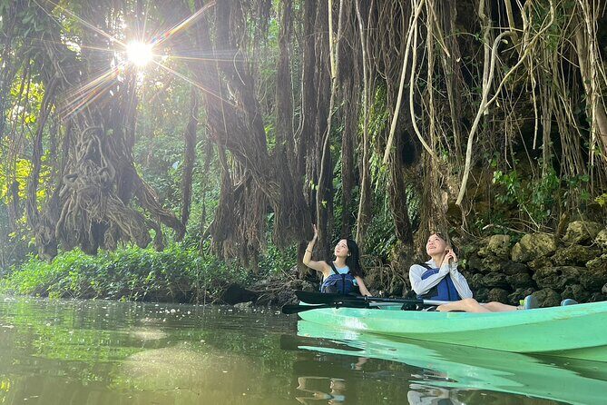 Mangrove Kayak Sea Fishing Experience in Okinawa - Key Points