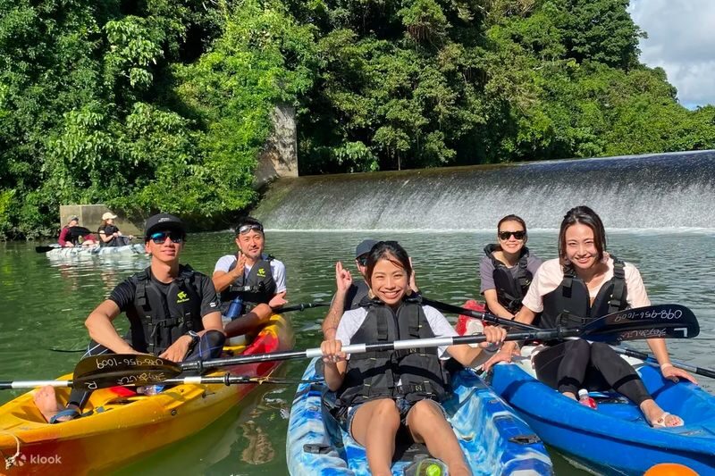 Mangrove Kayak Tour in Okinawa - At a glance