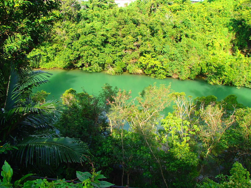 Mangrove Kayak Tour in Okinawa - Free photos and friendly instruction