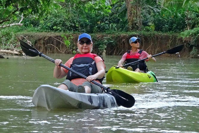 Mangrove Kayak Tour | Manuel Antonio - An In-Depth Look at the Mangrove Kayak Tour