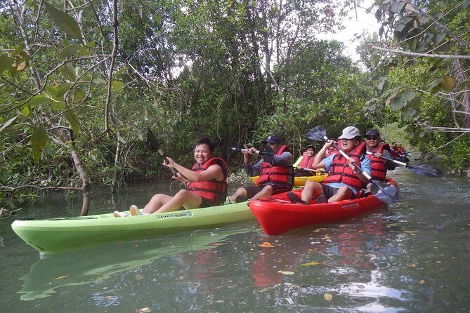Mangrove Kayaking Adventure in Singapore - Exploring Pulau Ubin by Kayak: A Detailed Look