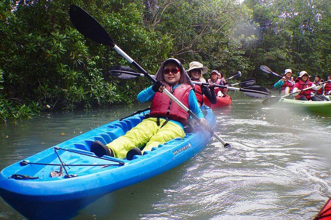 Mangrove Kayaking Adventure in Singapore - Practical Tips for Your Kayaking Trip