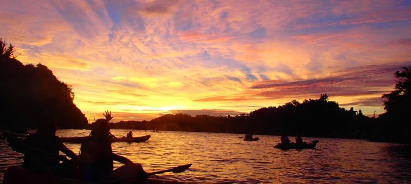 Mangrove Kayaking and Fishing Experience in Okinawa - At a Glance