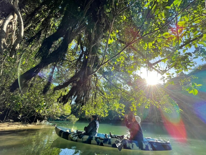 Mangrove Kayaking and Fishing Experience in Okinawa - Who Will Enjoy This Most?