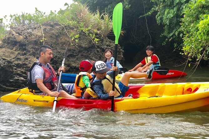 Mangrove kayaking to enjoy nature in Okinawa - The Sum Up