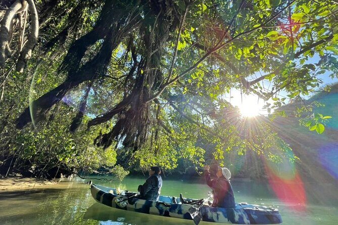 Mangrove kayaking to enjoy nature in Okinawa - FAQ