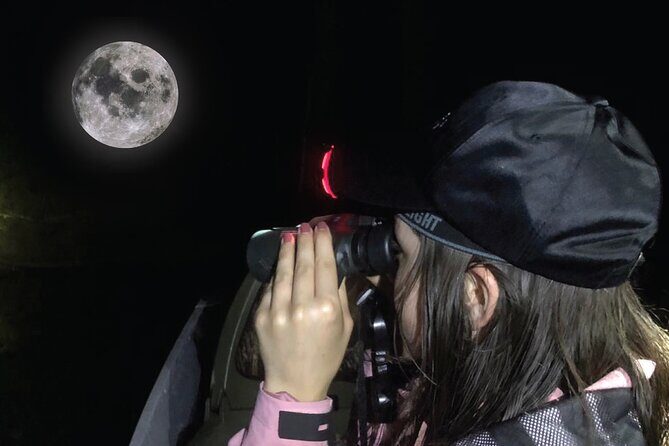 Mangrove Night Tour - Exploring the Mangrove Night Tour in Quepos, Costa Rica