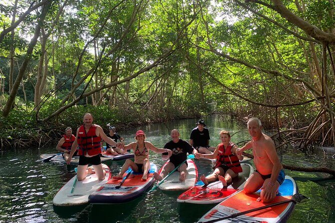 Mangrove Paddle Ride Sainte Anne Guadeloupe - Key Points