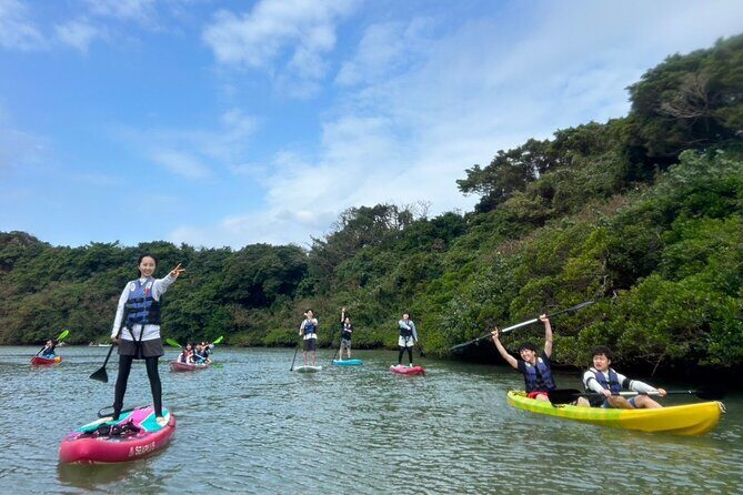 Mangrove SUP in Okinawa - Key Points
