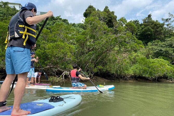 Mangrove SUP in Okinawa - Final Thoughts: Why Choose the Mangrove SUP Tour?