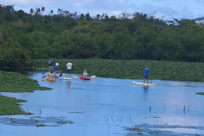 Mangrove to Lagoon Kayak and Paddleboard Adventure - Experience the Mangrove to Lagoon Kayak and Paddleboard Adventure in Samoa