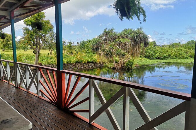 Mangrove to Lagoon Kayak and Paddleboard Adventure - Exploring the Itinerary in Detail