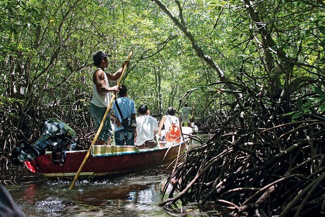 Mangrove Tour at Nusa Lembongan : Kayak, Paddle and Boat - Deep Dive: What You Can Expect at Each Stop