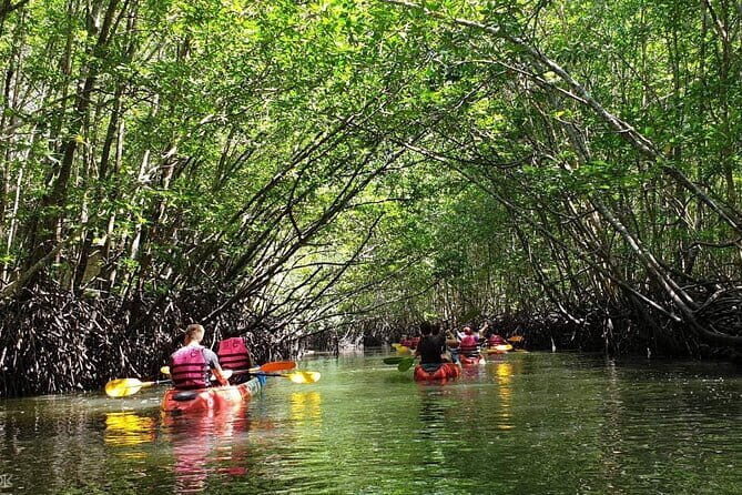 Mangrove Tour by Kayaking in Ko Lanta With Lunch - Key Points