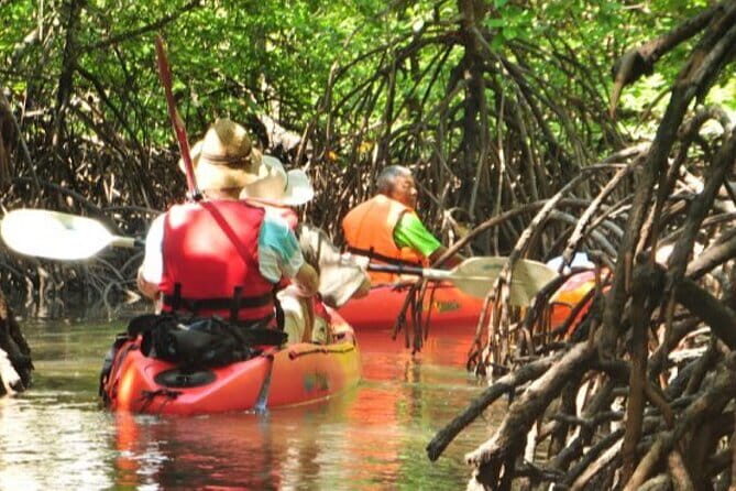 Mangrove Tour by Kayaking in Ko Lanta With Lunch - Who Should Take This Tour?