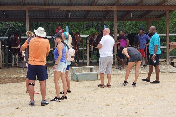 Mangrove tour,Horseback Riding, Snorkeling and beach in Roatan - Roatan Mangrove, Horseback Riding, Snorkeling, and Beach Tour: An Authentic Island Experience