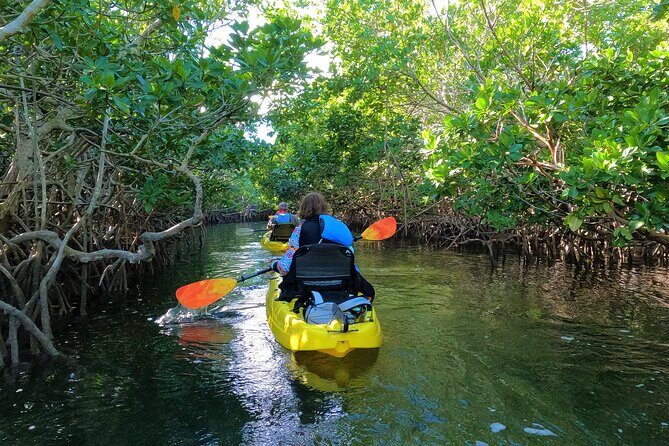 Mangrove Tunnel Kayak Adventure in Key Largo - Why This Tour Stands Out