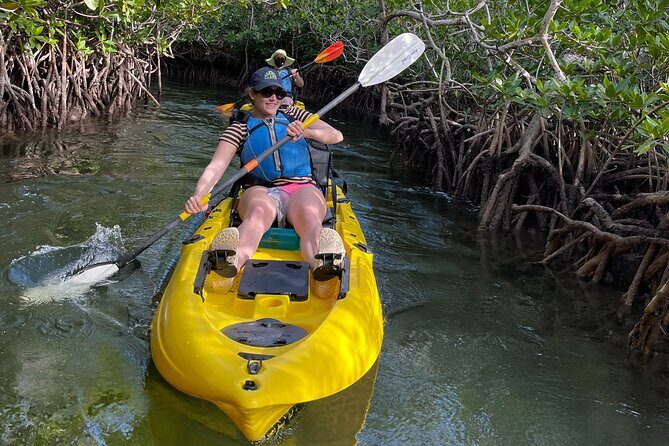Mangrove Tunnel Kayak Adventure in Key Largo - FAQ
