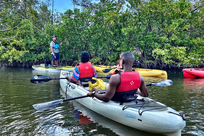 Mangrove Tunnel Kayak Eco Tour - Key Points