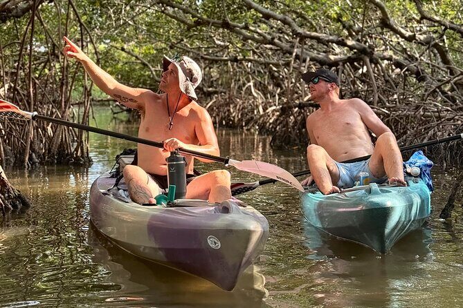 Mangrove Tunnel Kayak Tour To Shell Key - St. Pete, FL - Discover the Hidden Beauty of Shell Key on a Mangrove Tunnel Kayak Tour in St. Pete