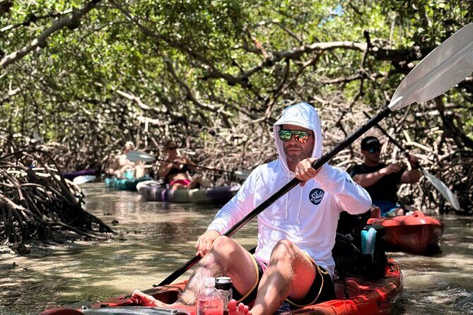 Mangrove Tunnel Kayak Tour To Shell Key - St. Pete, FL - An In-Depth Look at the Mangrove Tunnel Kayak Tour to Shell Key