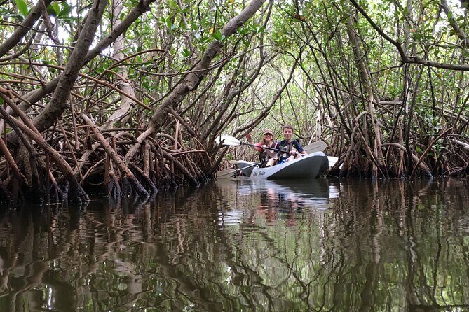 Mangrove Tunnels, Dolphins, Manatee Tour #1 Rated in Cocoa Beach - A Deep Dive into the Cocoa Beach Kayak Experience