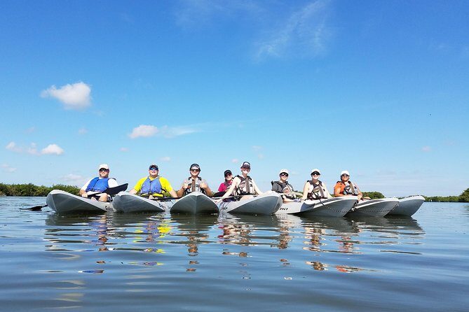 Mangrove Tunnels, Dolphins, Manatee Tour #1 Rated in Cocoa Beach - An Honest Look at the Value