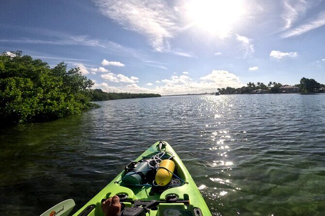 Mangrove Tunnels Pedal Kayak Eco-Tour in Anna Maria - Exploring the Waters of Anna Maria: An Authentic Florida Experience