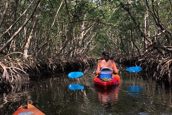Mangrove Tunnels Pedal Kayak Eco-Tour in Anna Maria - Who Will Enjoy This?