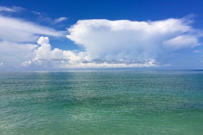 Mangrove Tunnels Pedal Kayak Eco-Tour in Anna Maria - Final Thoughts