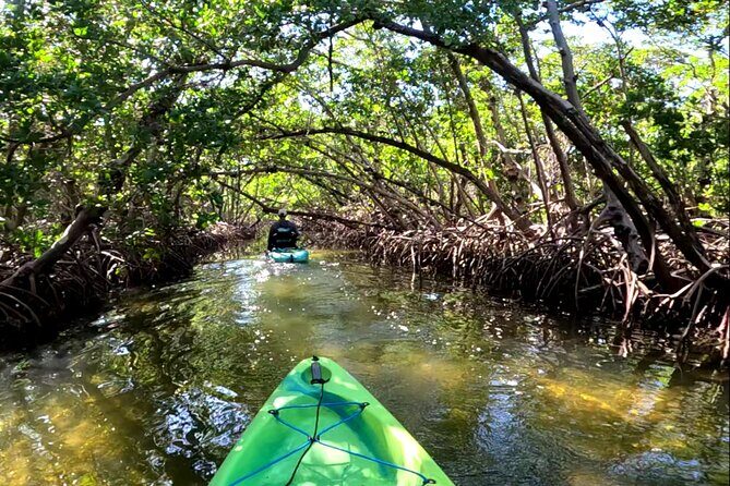 Mangrove Tunnels Pedal Kayak Eco-Tour in Anna Maria - Frequently Asked Questions