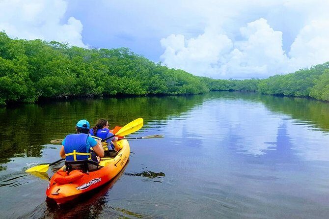 Mangroves and Manatees - Guided Kayak Eco Tour - The Sum Up: Who Is This Tour Perfect For?