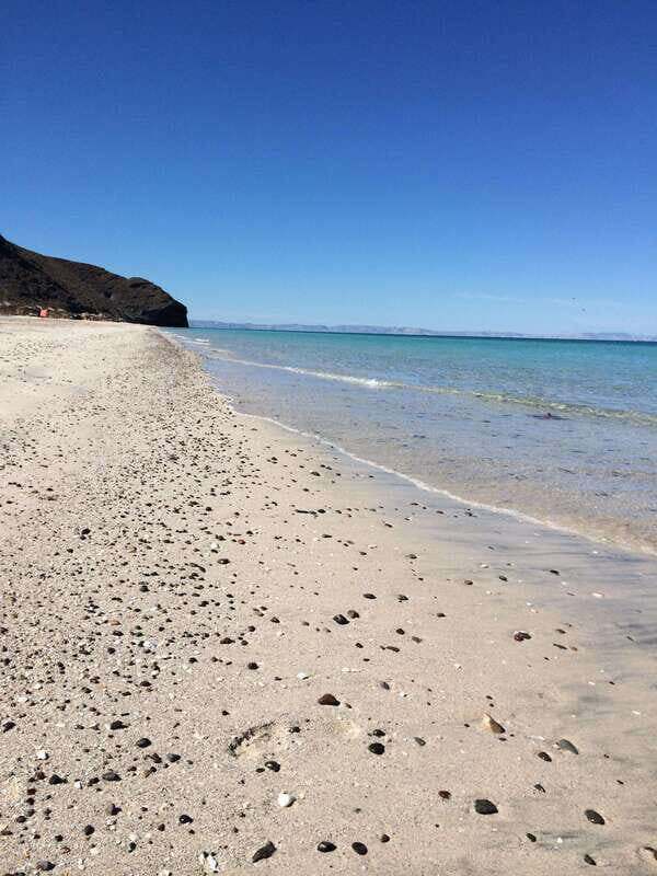 Mangroves & Beaches: Hiking Tour of Balandra, La Paz - Key Points