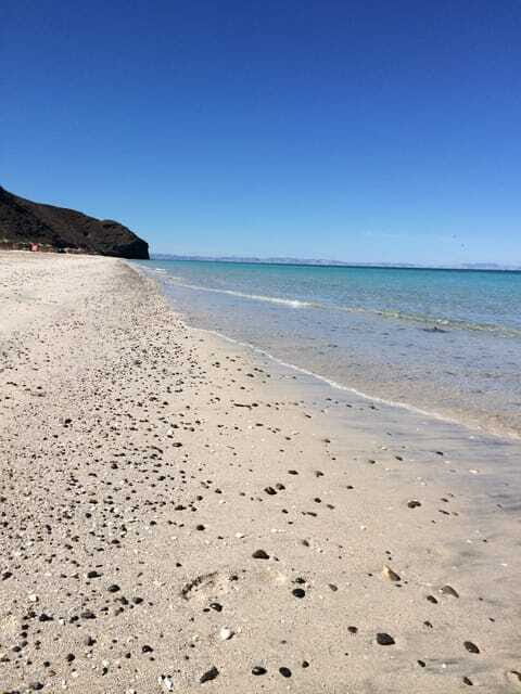 Mangroves & Beaches: Hiking Tour of Balandra, La Paz - Final Thoughts