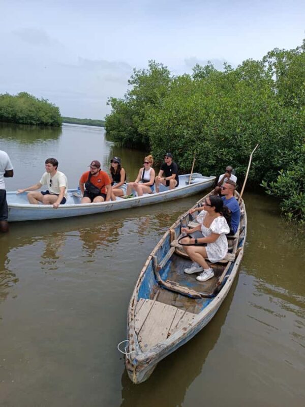 Mangroves, cultural fishing, black heritage town and lunch - FAQ