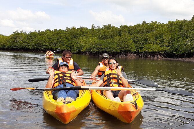 Mangroves Kayaking At Havelock - Exploring the Mangroves Kayaking at Havelock: A Nature Lover’s Delight