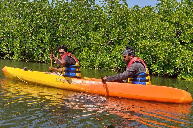Mangroves Kayaking At Havelock - Key Points