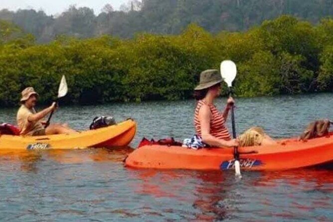 Mangroves Kayaking At Havelock - Why This Tour Offers Great Value
