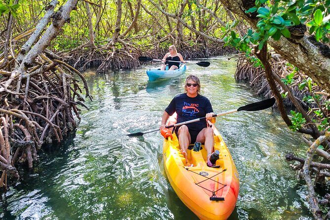 Mangroves, Manatees, and a Hidden Beach: Kayak Tour - The Itinerary Breakdown