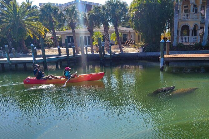Mangroves, Manatees, and a Hidden Beach: Kayak Tour - Group Size and Accessibility